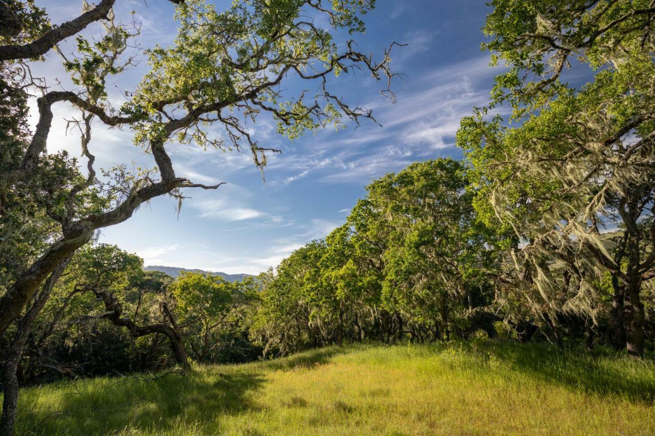 The Camp At Carmel Valley Exteriér fotografie